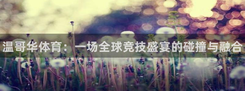 vsport体育官网下载招商电话号码：温哥华体育：一
