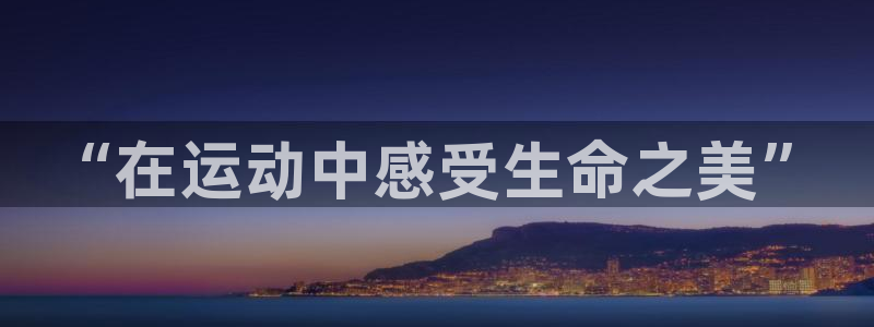 vsport体育官方正版app集团logo