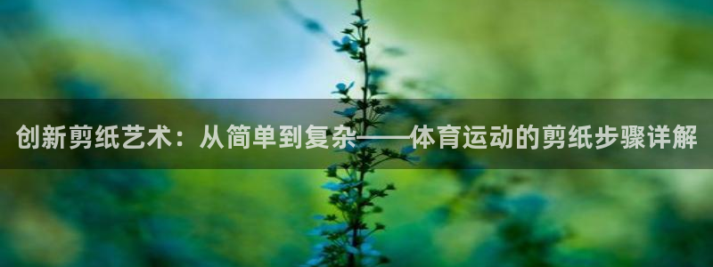 vsport体育官方正版app集团官网首页网址