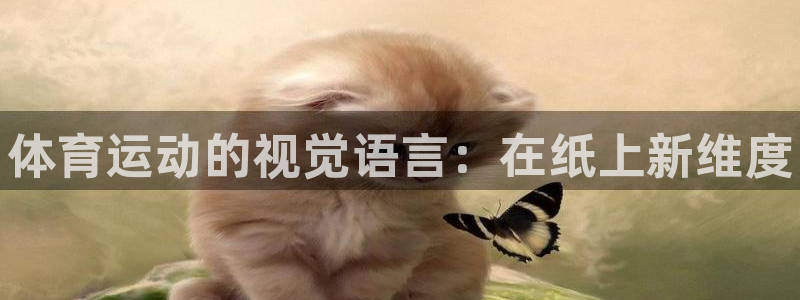 德国vsport体育官方正版app集团：体育运动的视觉语言：