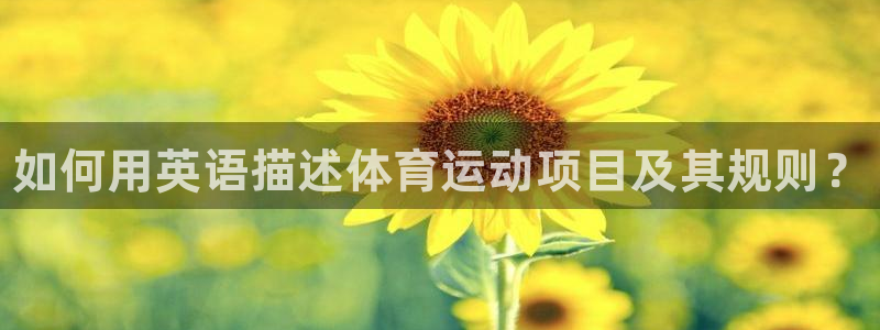 vsport体育官方正版app集团官网首页网址