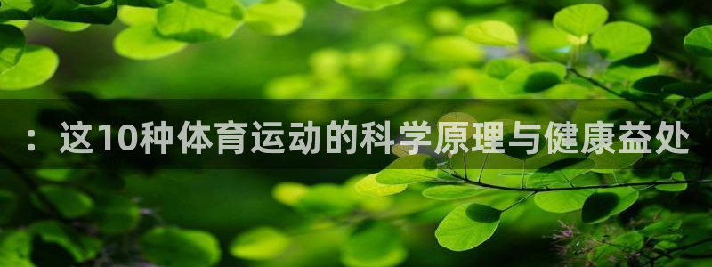 vsport体育官网下载招商电话号码