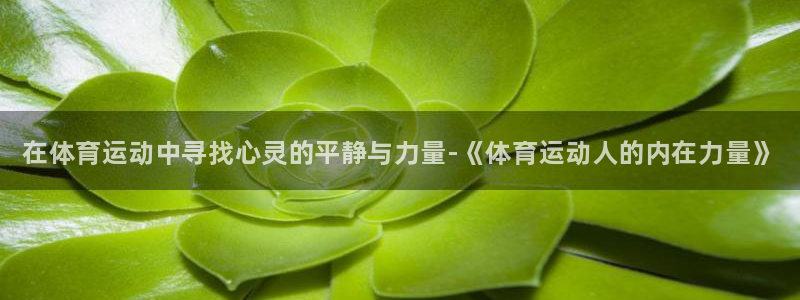 vsport体育官网下载招商电话是多少啊