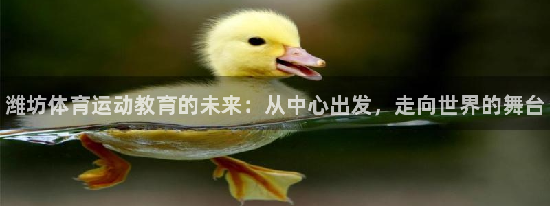 vsport体育官网下载招商电话号码是多少啊：潍坊体