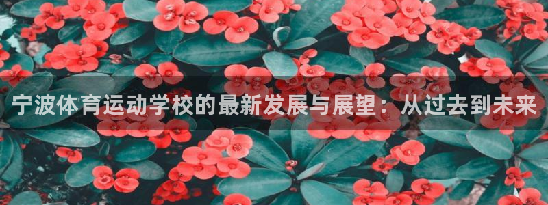 vsport体育官网下载招商电话地址是多少：宁波体育运动学校