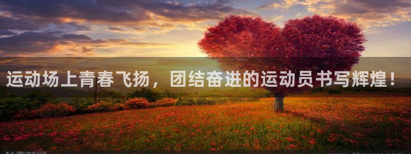 vsport体育官方正版app娱乐