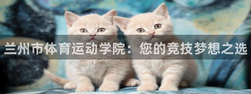 vsport体育官网下载平台注册要钱吗：兰州市体育运