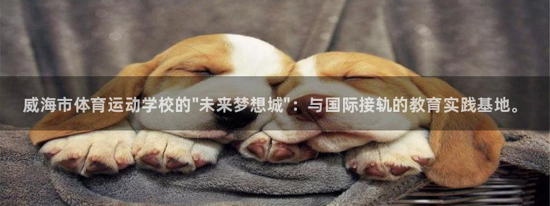 vsport体育官方正版app娱乐首页网站大全
