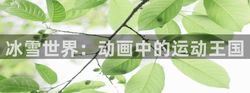 vsport体育官方正版app神州：冰雪世界：动画中
