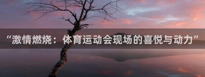 海南vsport体育官网下载：“激情燃烧：体育运动会现场的喜