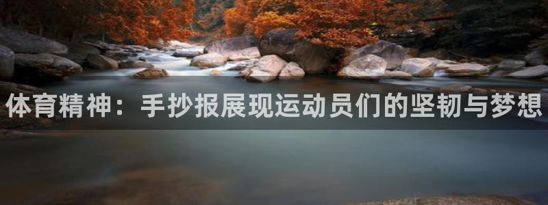vsport体育官方正版app集团logo：体育精神