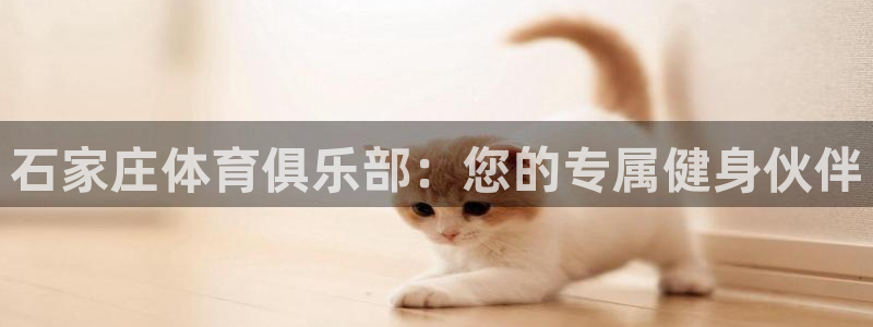 vsport体育官方正版app神州：石家庄体育俱乐部