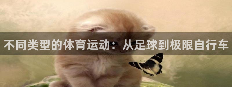 vsport体育官方平台体育：不同类型的体育运动：从