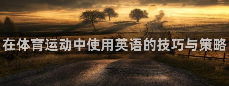 vsport体育官方正版app代理：在体育运动中使用英语的技