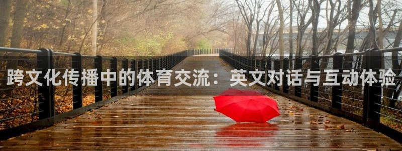 vsport体育官网下载平台是正规平台吗安全吗：跨文化传播中