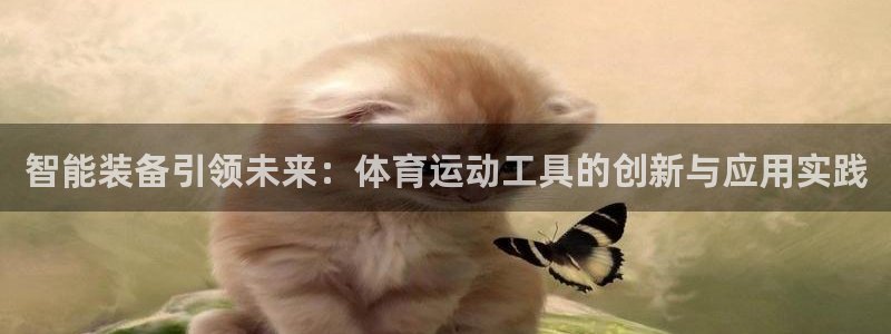 vsport体育官网下载平台APP：智能装备引领未来：体育运