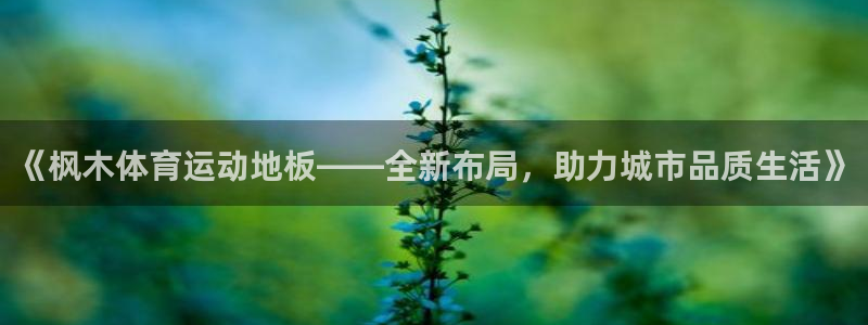 vsport体育官方正版app娱乐：《枫木体育运动地板——全