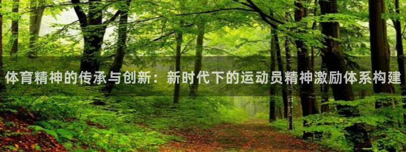 vsport体育官网下载平台APP：体育精神的传承与创新：新