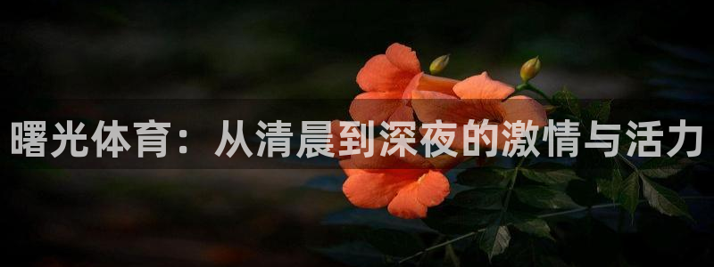 vsport体育官方正版app五金厂：曙光体育：从清晨到深夜