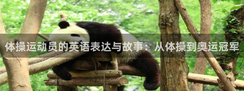 vsport体育官网下载招商电话地址是多少：体操运动员的英语