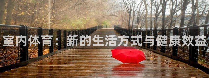 vsport体育官网下载娱乐：室内体育：新的生活方式
