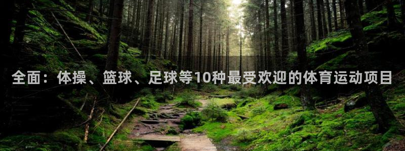 vsport体育官网下载平台是正规平台吗：全面：体操、篮球、