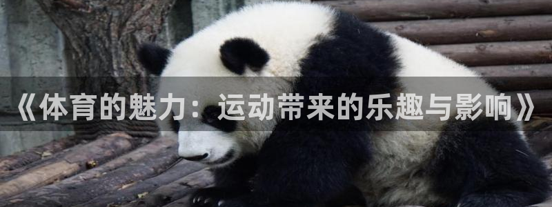 vsport体育官网下载平台：《体育的魅力：运动带来的乐趣与