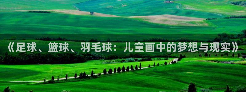 vsport体育官方正版app代理：《足球、篮球、羽毛球：儿