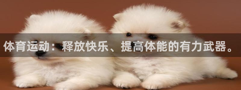 vsport体育官方正版app代理：体育运动：释放快乐、提高