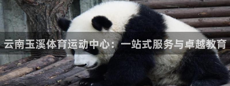 vsport体育官方正版app集团E.ON：云南玉溪