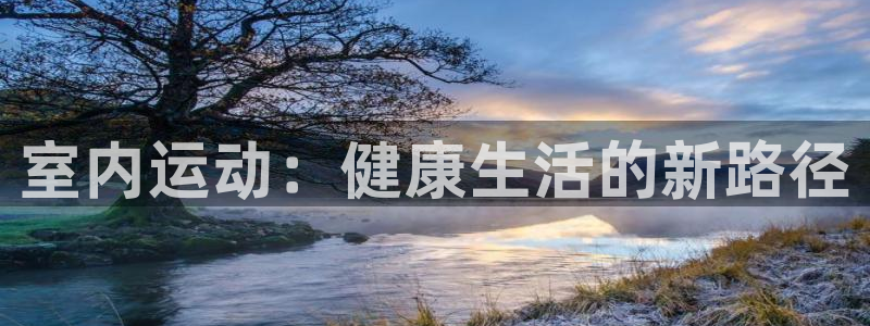 vsport体育官方正版app五金厂：室内运动：健康生活的新