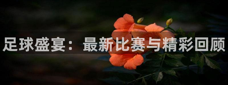 柠檬真人直播：足球盛宴：最新比赛与精彩回顾