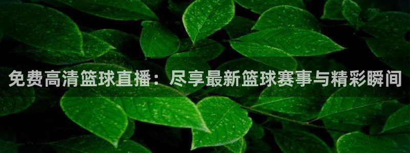 柠檬直播足球高清免费直播：免费高清篮球直播：尽享最新篮球赛事与精彩瞬间