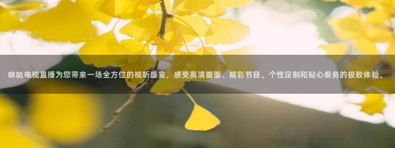 柠檬直播 篮球：咪咕电视直播为您带来一场全方位的视听盛宴，感受高清画面、精彩节目、个性定制和贴心服务的极致体验。
