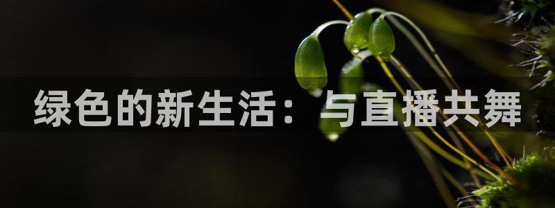 柠檬直播 篮球：绿色的新生活：与直播共舞