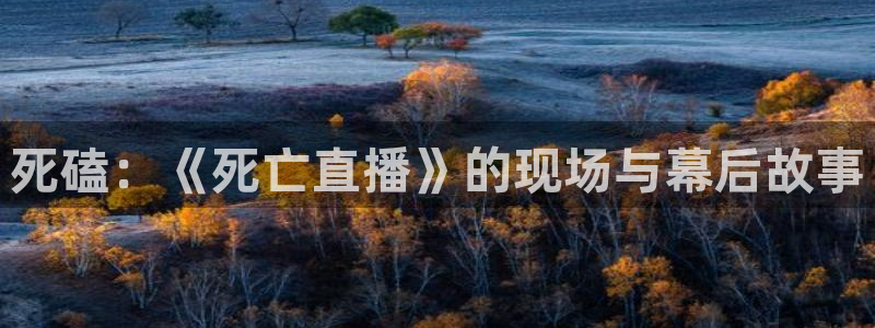 足球柠檬直播