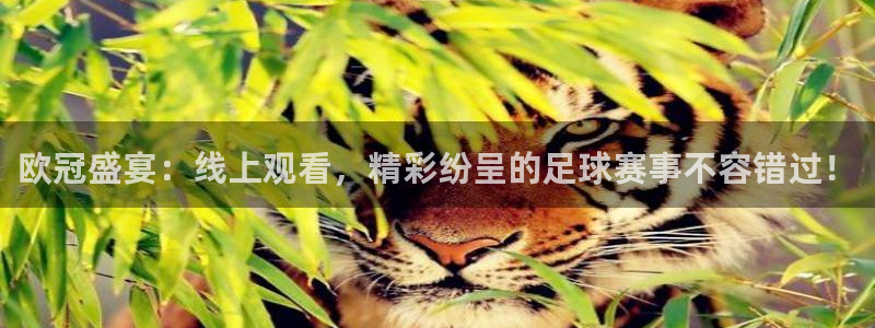 柠檬看球：欧冠盛宴：线上观看，精彩纷呈的足球赛事不容错过！