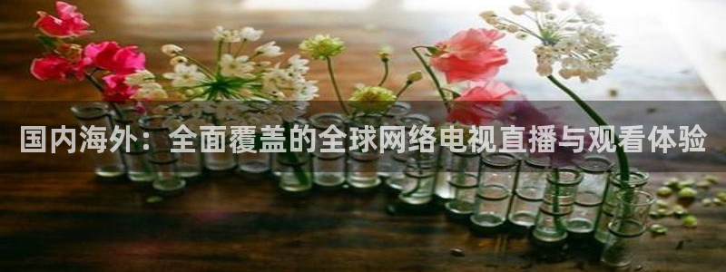 柠檬网体育直播：国内海外：全面覆盖的全球网络电视直播与观看体验